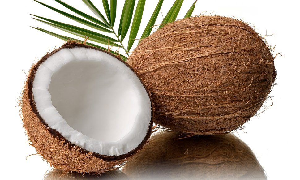 168508__coconut-coconut-walnut-white-background_p